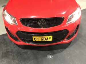 VFKangaroo1.jpg