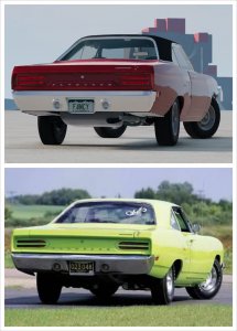 roadrunner1.jpg