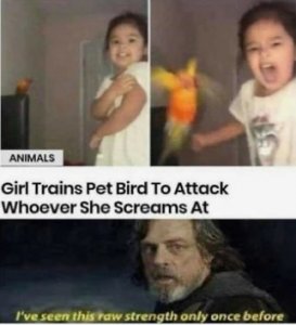 screaming-bird.jpg