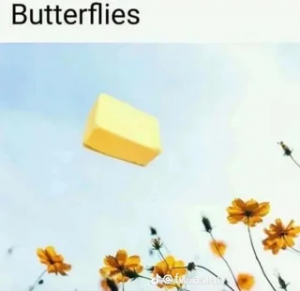 wayv-sfrutcure-v0-y9m2xidv3u0d1.png