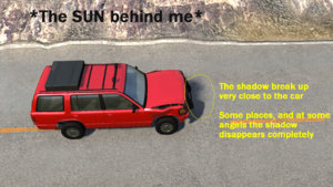 bug_shadow01.jpg