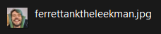 theleekmanscreenshot.png