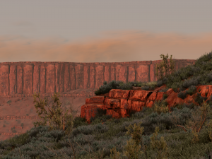 screenshot_2024-11-17_15-27-38.png