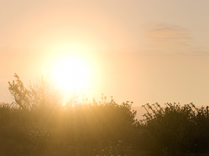 screenshot_2024-11-17_15-25-17.png
