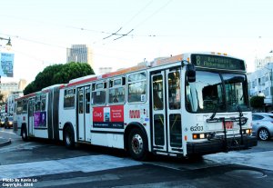 sfmuni_6203.jpg