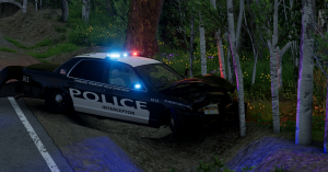screenshot_2024-11-28_13-26-33.png
