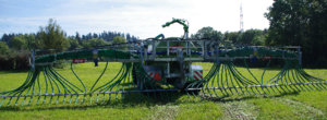 guelle2.jpg