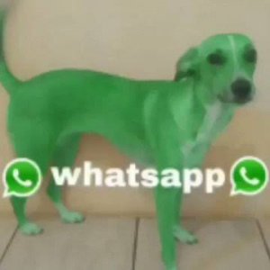 4.jpeg