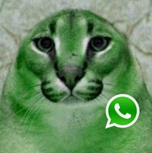 3d6c577dc24561124b094681759aa24a.jpg