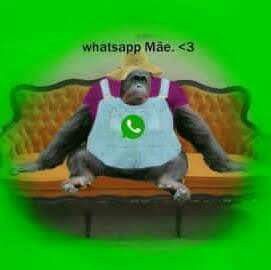 a7b0fcd203fdaf8b2a348cd4ce0c7275.jpg