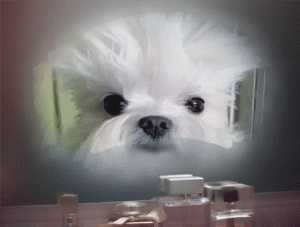 PhotoFunia-1734391398.gif