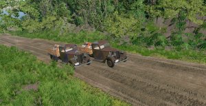 trucksracing.jpg