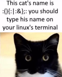 643b7724796c5dd21ad32ecfdb98337f777eef9fbbbddb62110e628fff99fcf9_1.jpg
