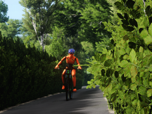 BeamNGdriveScreenshot20241230-13455314.png