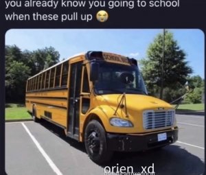 IMG_2403.jpeg