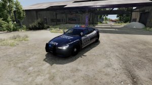 homerangepolicecar.jpg