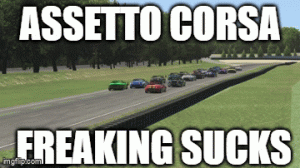 assettocorsasucks.gif