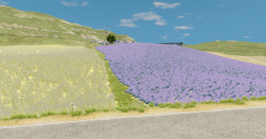 screenshot_2025-01-26_17-38-12.png