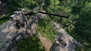 jungle.jpg