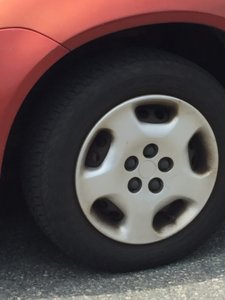 image.jpeg