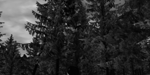 screenshot_00048.png