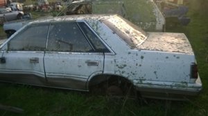 WP_20160530_006.jpg