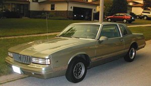 monte_87LS_1.jpg