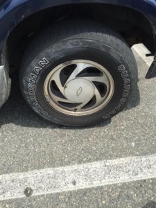 image.jpeg
