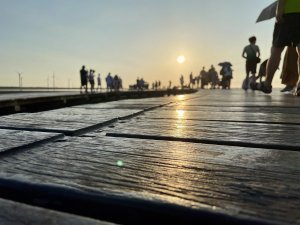 IMG_0509.jpeg
