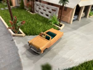 IMG_1900.jpeg
