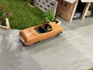 IMG_1901.jpeg