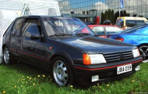 205 1.9 gti.jpg