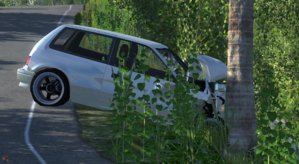 BeamNG 2014-01-30 23-24-11-14.jpg