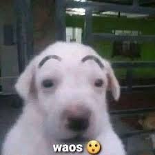 download.jpg