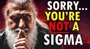 sorry-youre-not-a-sigmajpg.jpg