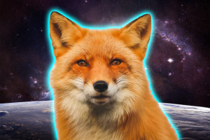 SpaceFox1G.png
