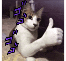 cat-jojo.gif