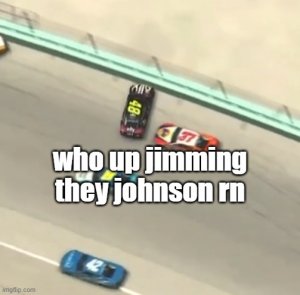 jimmie-johnson-thingy.jpg