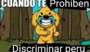 FtT1lWOX0AEI8E1.jpg
