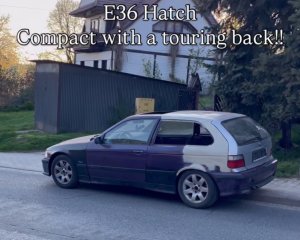 IMG_5686.jpeg