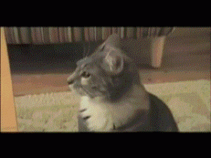 image0-7.gif