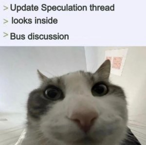 cat.jpg