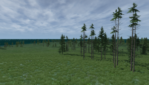 screenshot_00056.png
