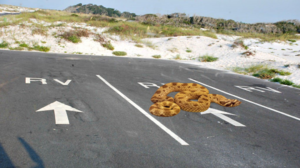 rv-parking-spots.png