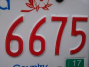 DSC_0252.jpg