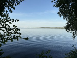 IMG_0382.jpeg