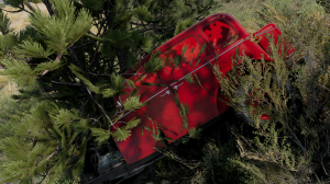 screenshot_2025-08-15_11-30-36.png