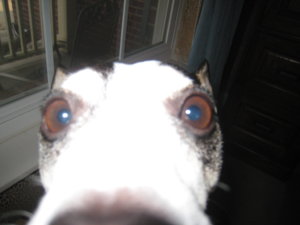 IMG_1777.JPG