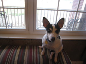 IMG_1776.JPG
