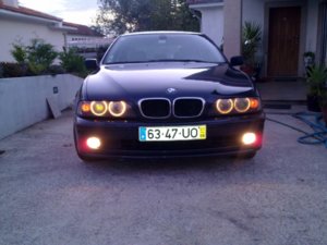 bmwpiscas.jpg